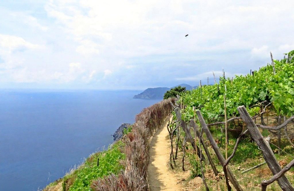 Best Cinque Terre Hiking Routes (From Easy to Challenging)